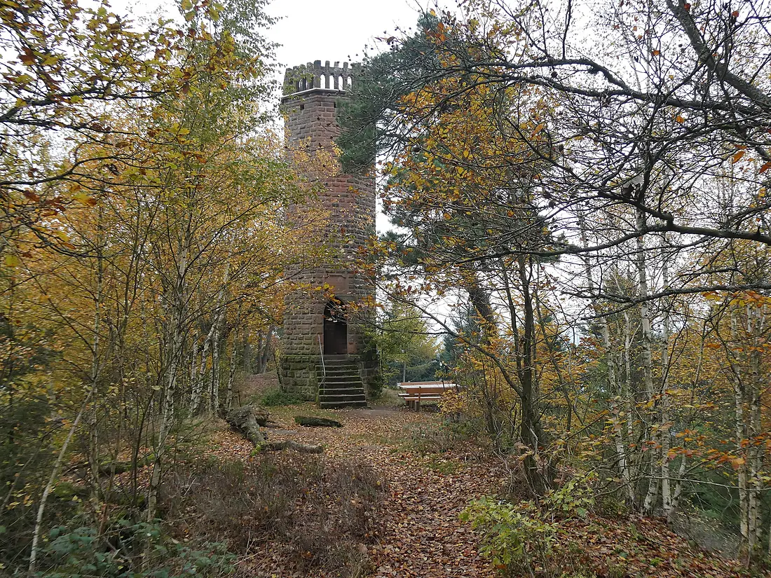2019 Pfälzerwald 523 Rehbergturm