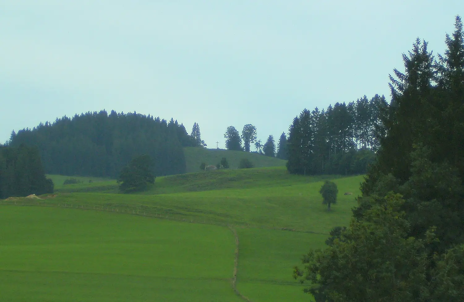 Riedholzer Kugel 2008 21.08.2008