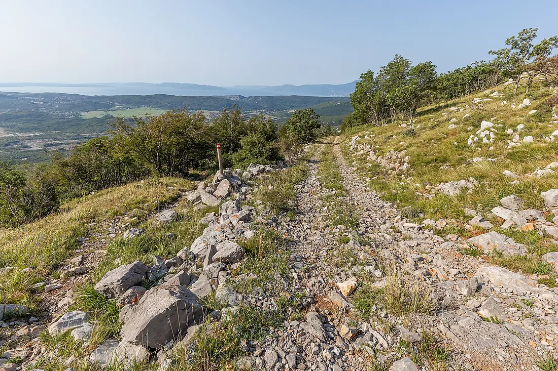 A forest road, Risnjak National Park, Croatia 06