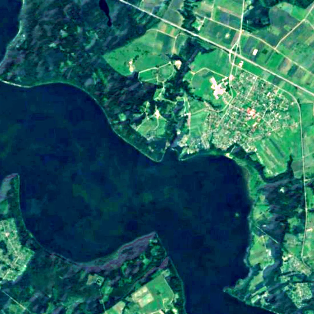 Rumšiškės Watchtower seen from above (Sentinel-2)
