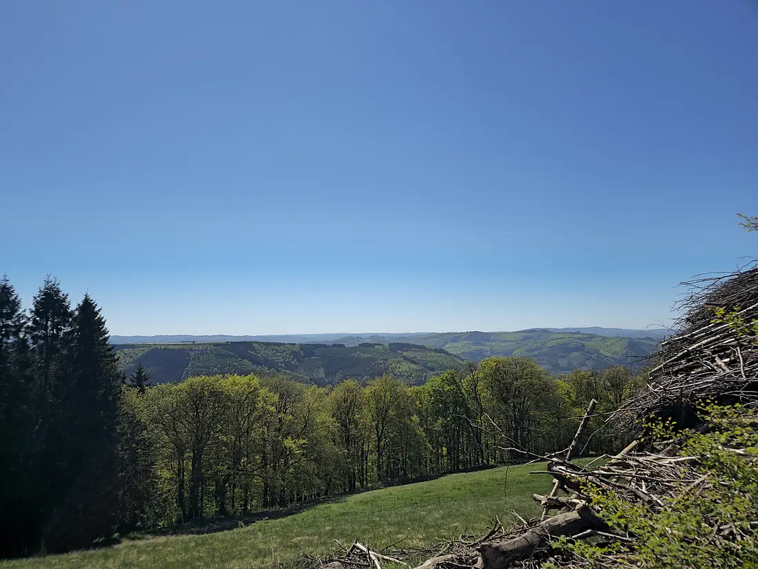 186 Schomberg. Blick nach Süden ins Tal und dahinter auf den Dahlberg mit dem Oberbecken ders Pumpspeicherwerkes Rönkhausen