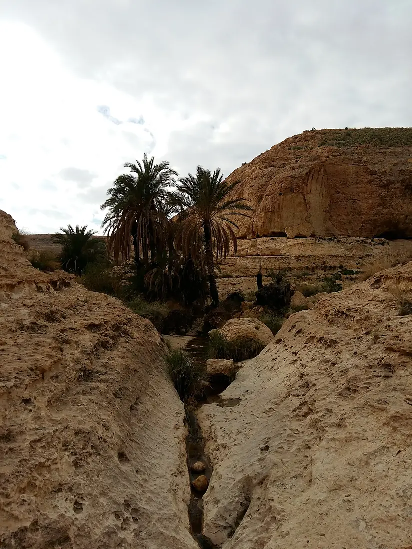 Gorges de Selja 28