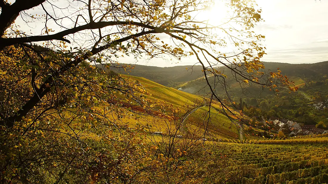 Blick von Sieben Linden südwestlich ins Haldenbachtal - panoramio