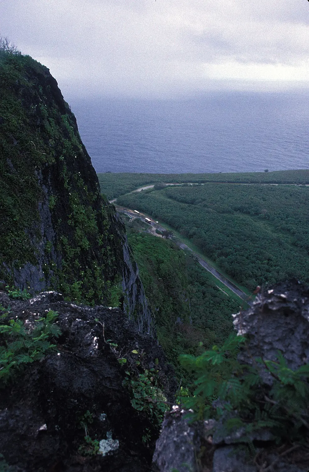 SUICIDE CLIFF