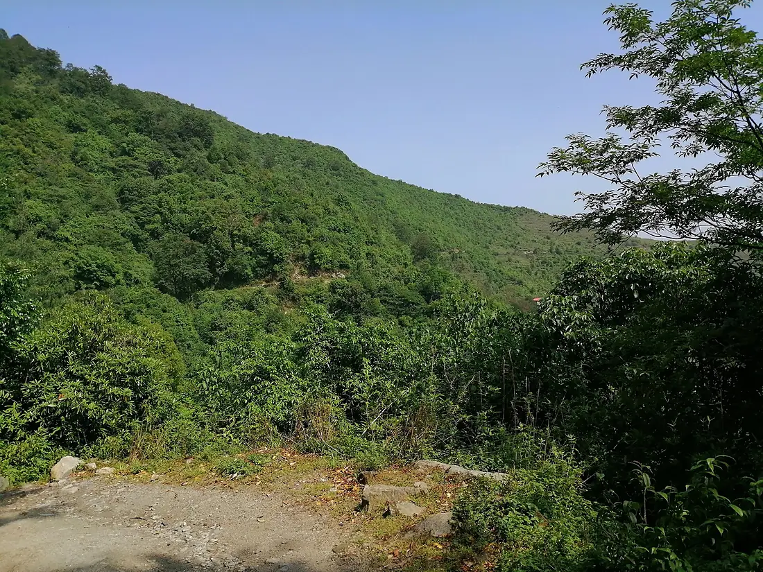 Suryachaur-trail
