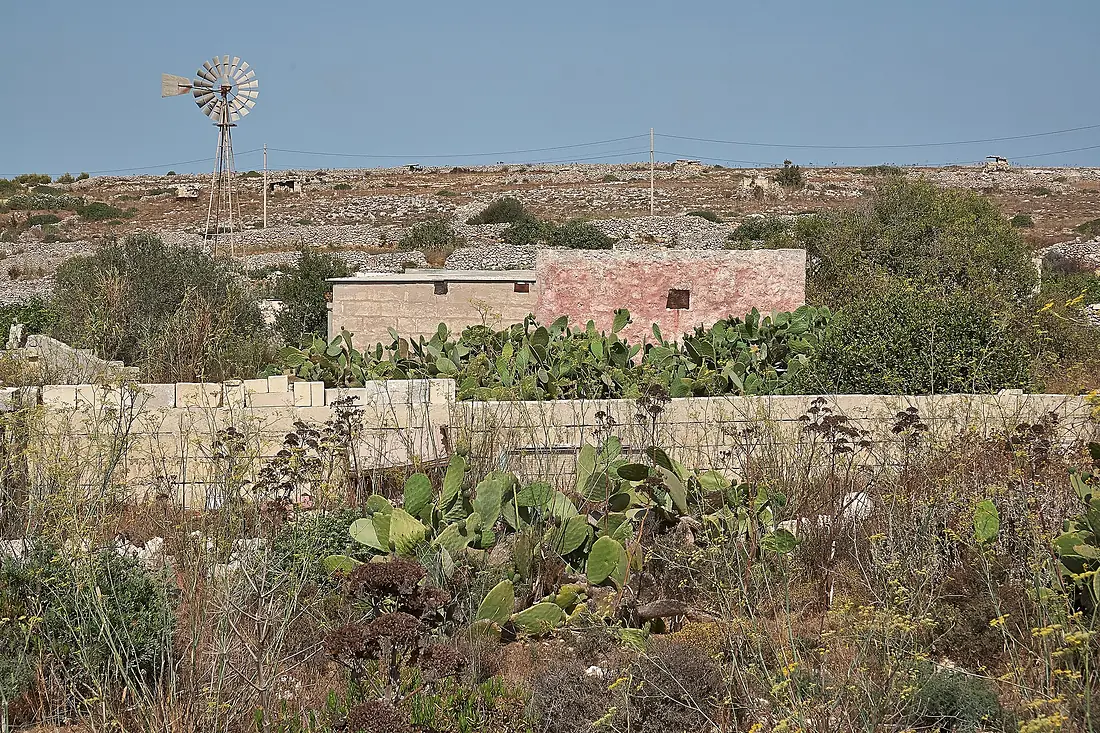 Ta' Dmejrek-IMG 1501