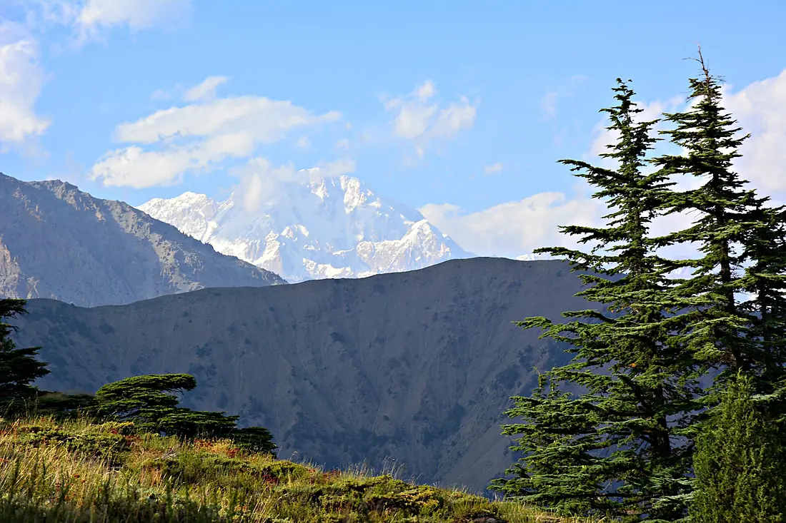 Going out camping with pops - Chitral Gol national park