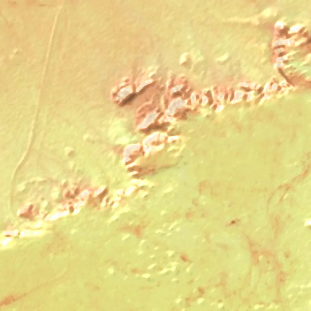 Tiguidit seen from above (Sentinel-2)