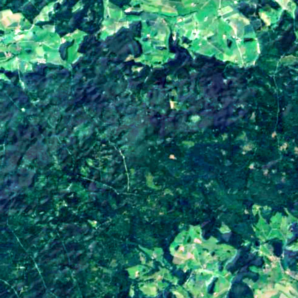 Upper Palatinate Tower seen from above (Sentinel-2)