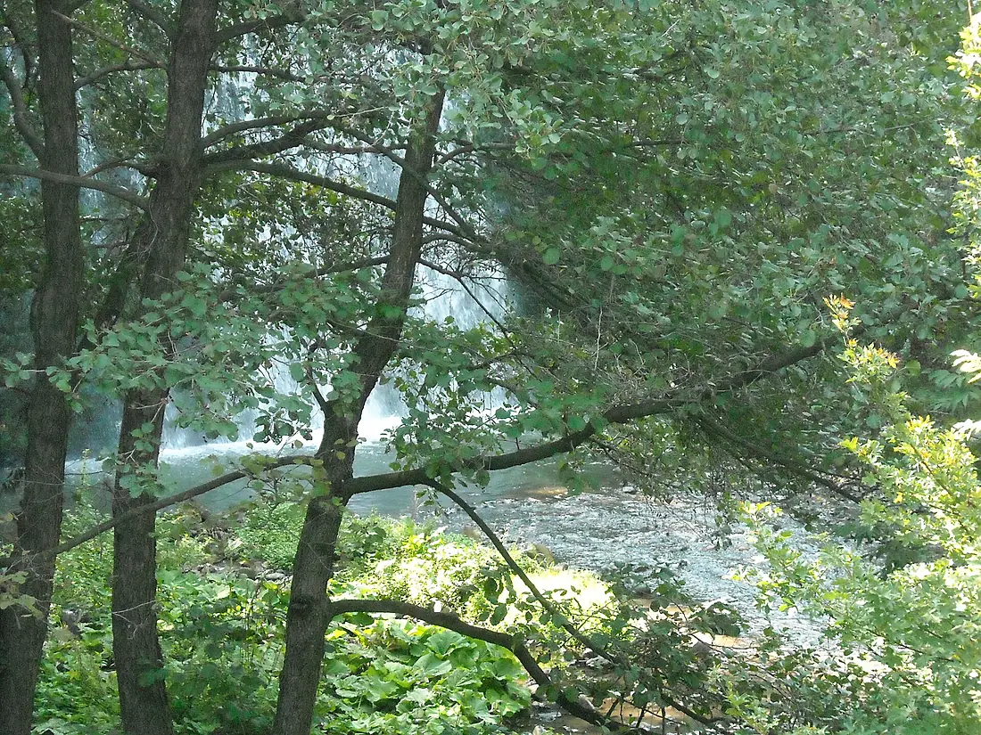Bistrica river, near Pancharevo