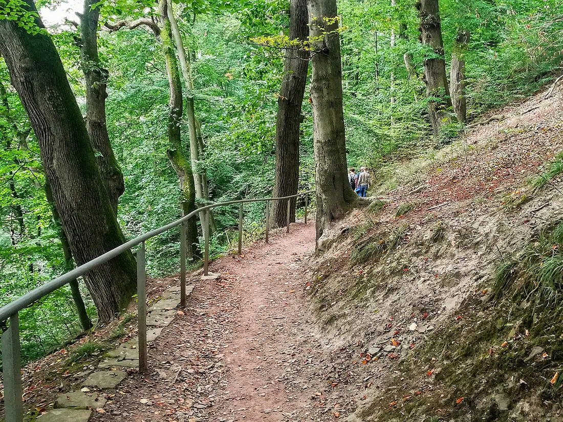 Path to the view point Weser Skywalk at the cliffs of Hannover 1
