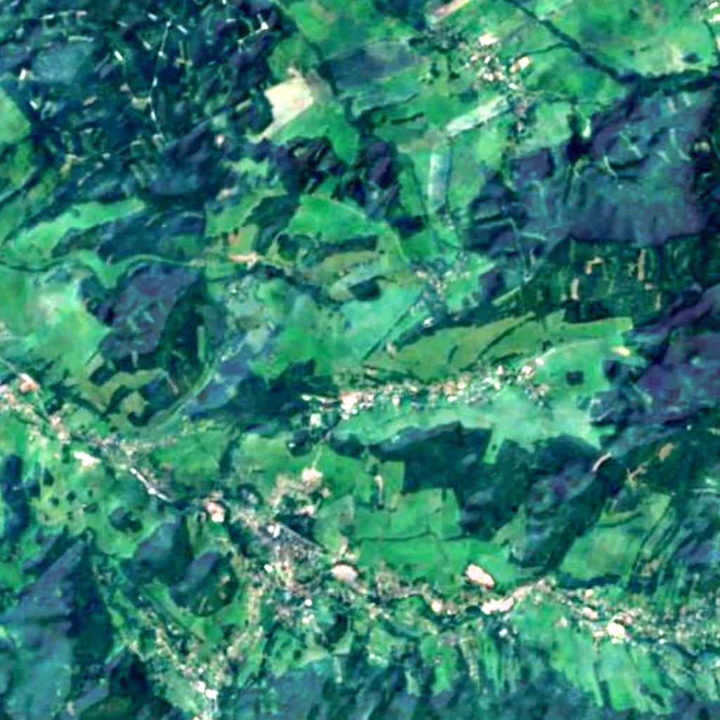 Wooden sculptures at Libverda lookouts seen from above (Sentinel-2)
